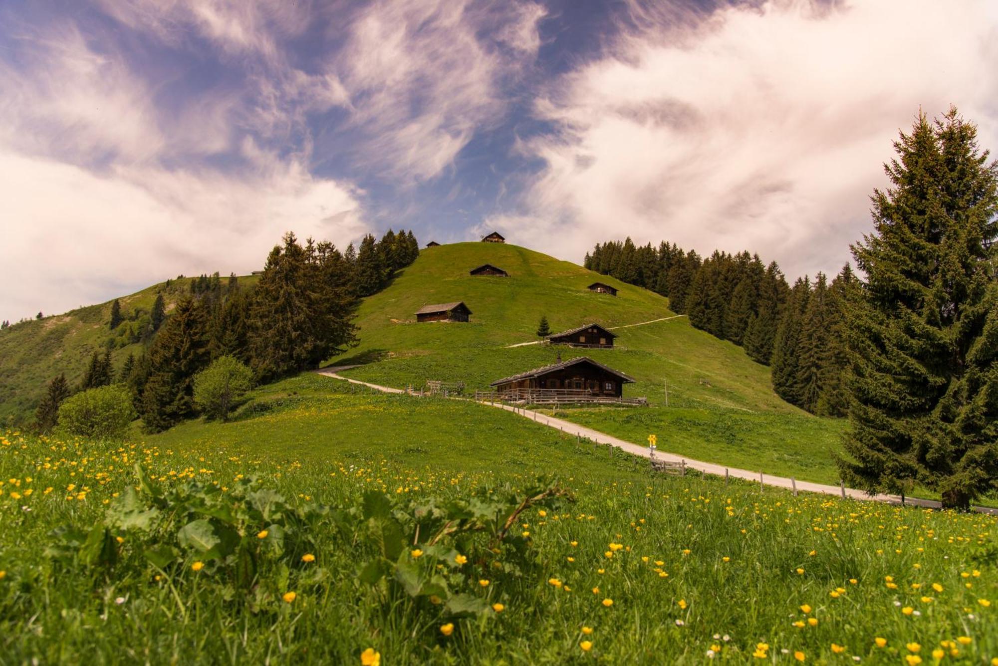 Dorfcafe Unken Hotelpension Swirtshaus Im Dorf Экстерьер фото
